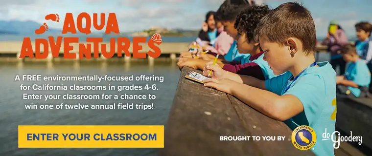 Aqua Adventures Launch 2026 Small